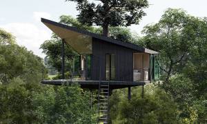 DAVID BONNARD - HYTT Architecture